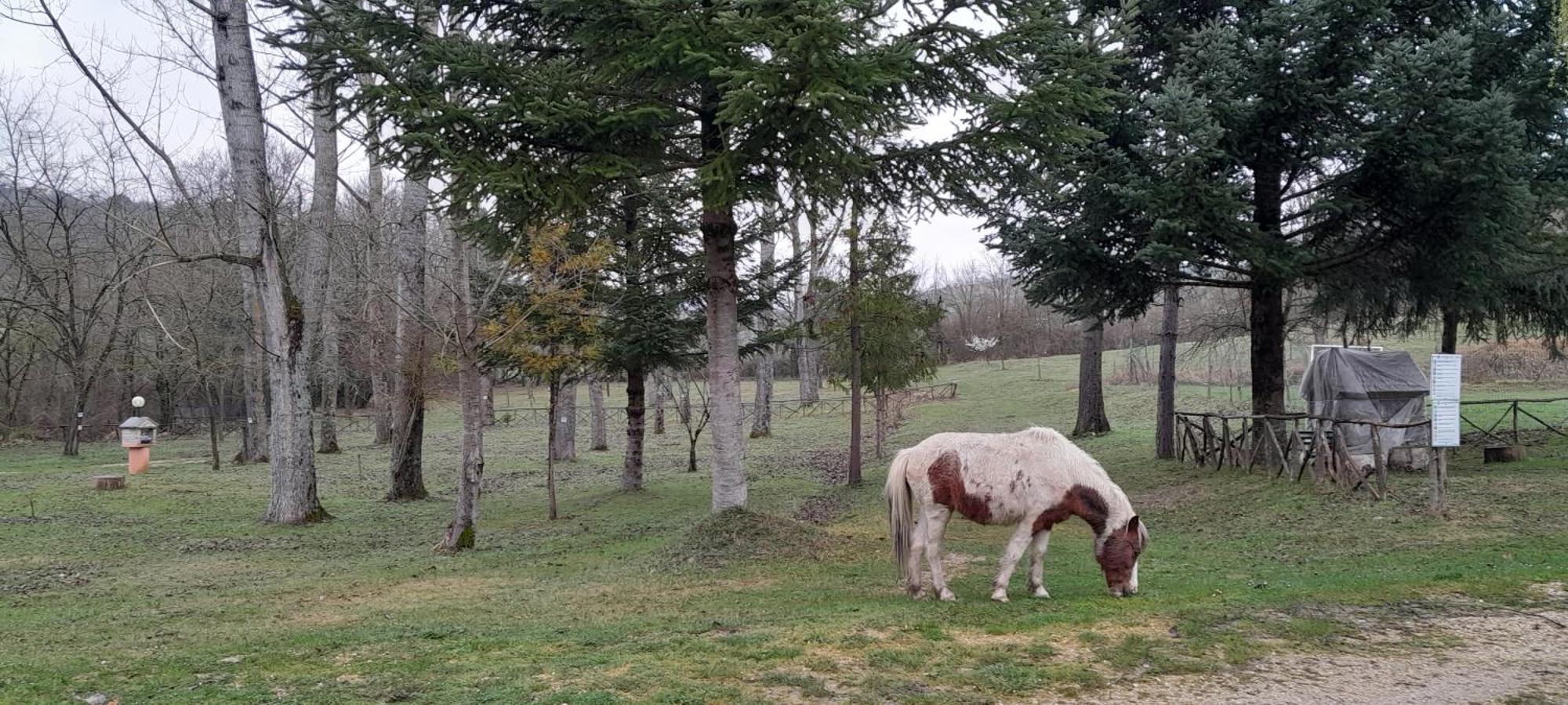 Вилла Casale La Fornace Costacciaro Экстерьер фото