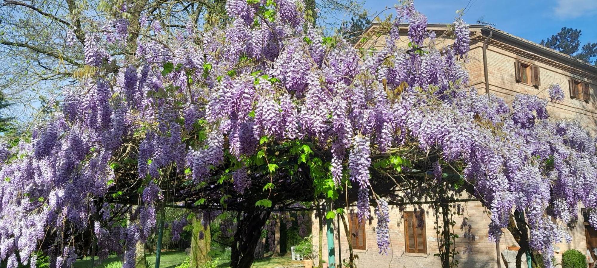 Вилла Casale La Fornace Costacciaro Экстерьер фото